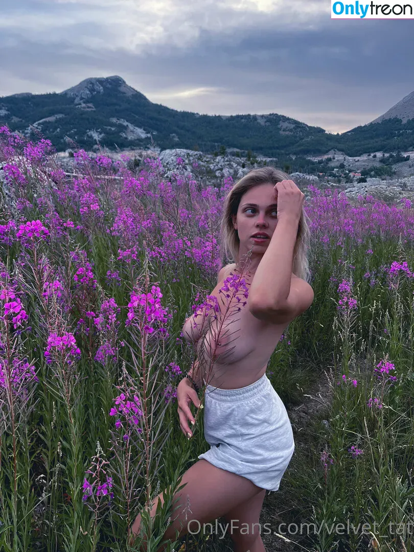 velvet_tat nude photo #0048 (VelvetTatti / velvet.tatti / velvettatty)
