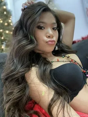 Vina Sky / vinaskyfanpage / vinaskyy nude photo #0285