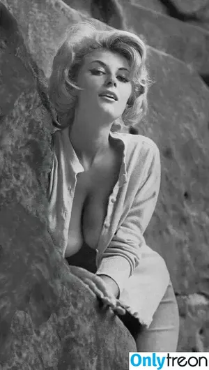 Vintage English Pinups / pinup_vintage_gallery nude photo #0317