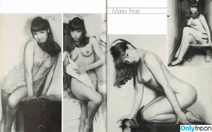 Vintage English Pinups / pinup_vintage_gallery nude photo #0439