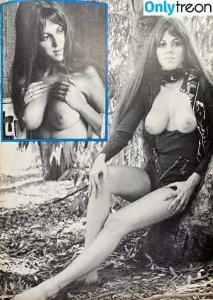 Vintage English Pinups / pinup_vintage_gallery nude photo #0505