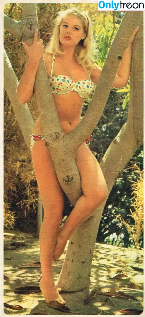 Vintage English Pinups nude photo #0340 (pinup_vintage_gallery)