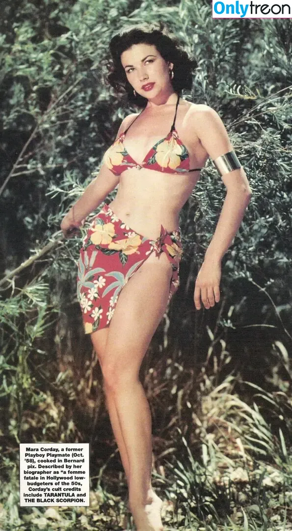 Vintage English Pinups nude photo #0406 (pinup_vintage_gallery)