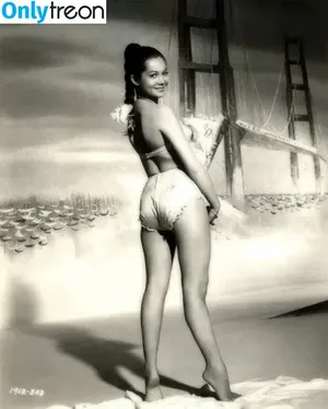 Vintage Sexy Celebs / vintagemoviestars nude photo #0492