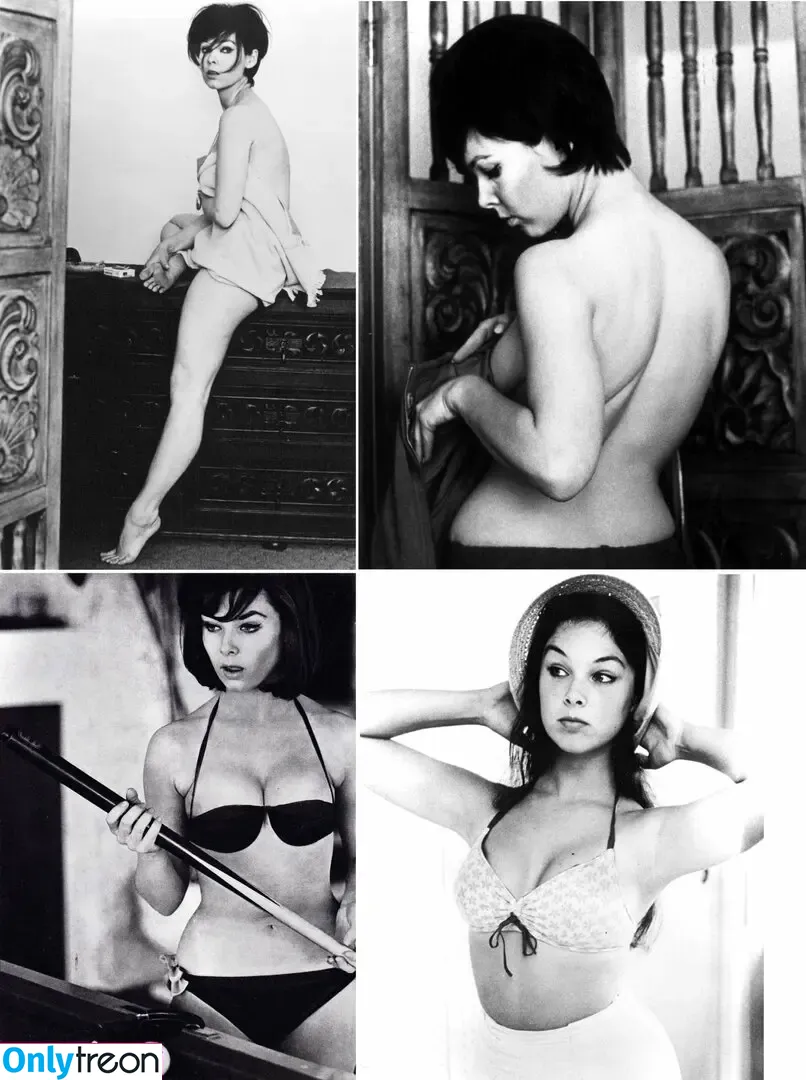 Vintage Sexy Celebs nude photo #0277 (vintagemoviestars)