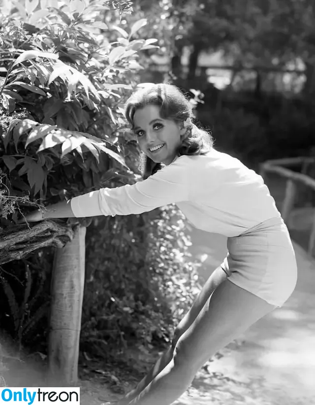 Vintage Sexy Celebs nude photo #0355 (vintagemoviestars)