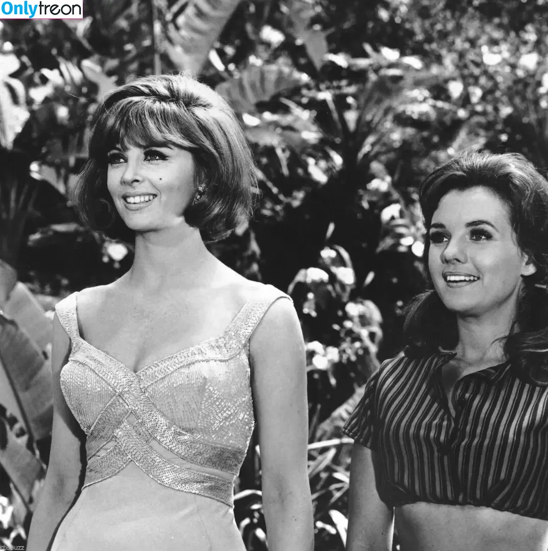 Vintage Starlets nude photo #1427 (Vintage Starlets)