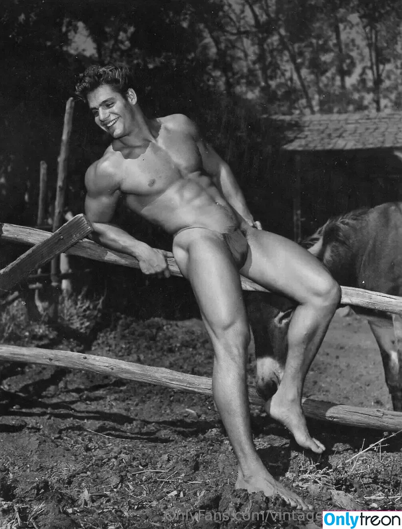 vintagephysiques nude photo #0022 (vintagephysiques)