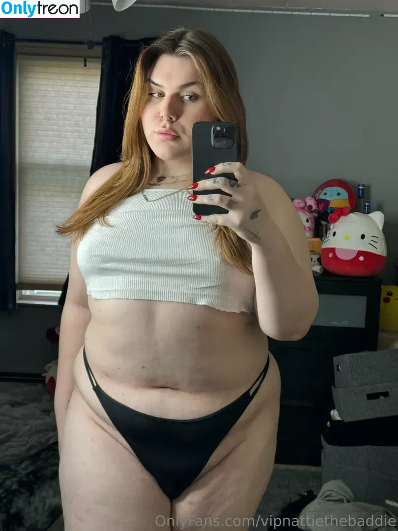 vipnattiethebaddie nude photo #0067 (tsnattiethebaddie)