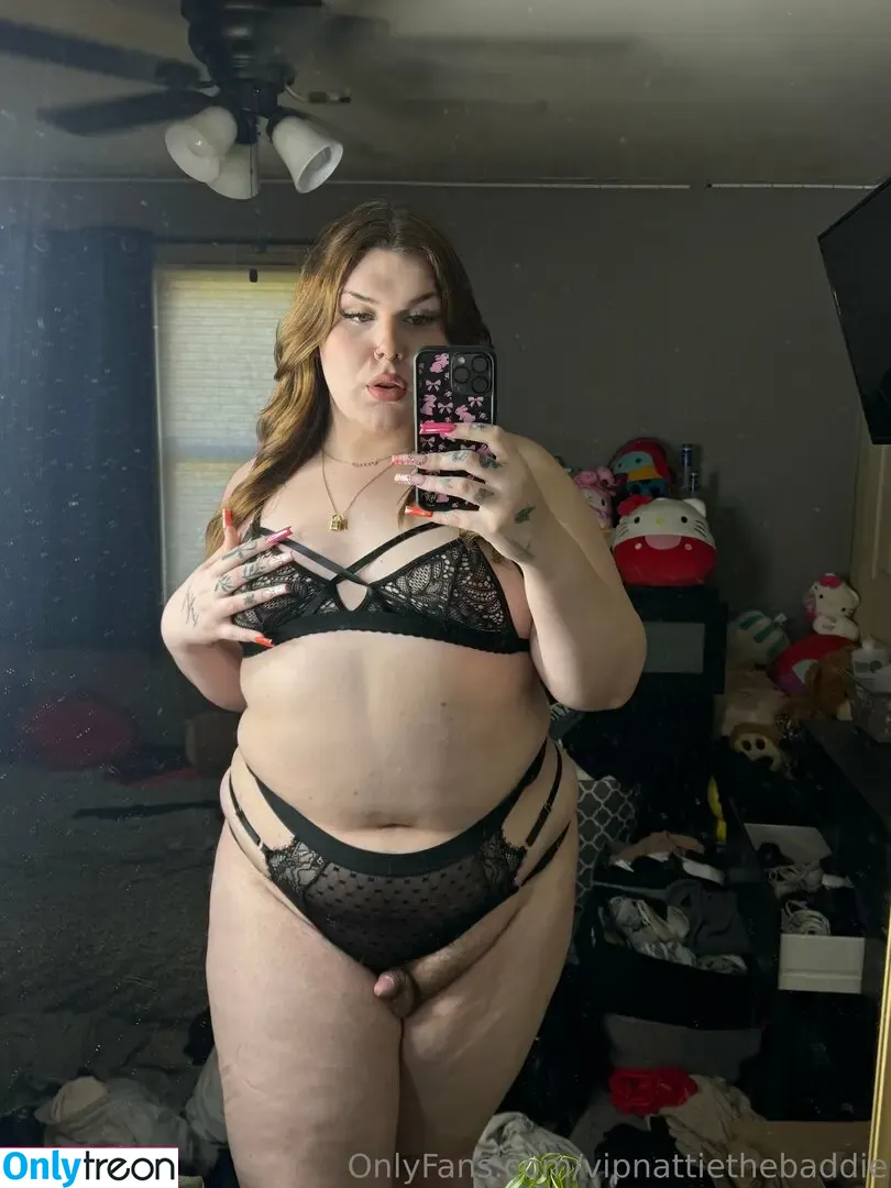 vipnattiethebaddie nude photo #0124 (tsnattiethebaddie)