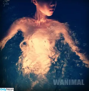 Wanimal Models / wanimal912 nude photo #0175