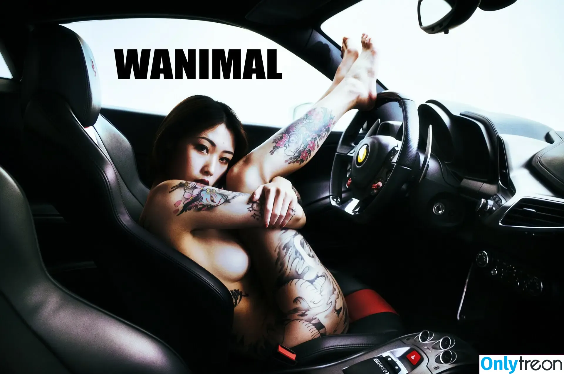 Wanimal Models nude photo #0025 (wanimal912)