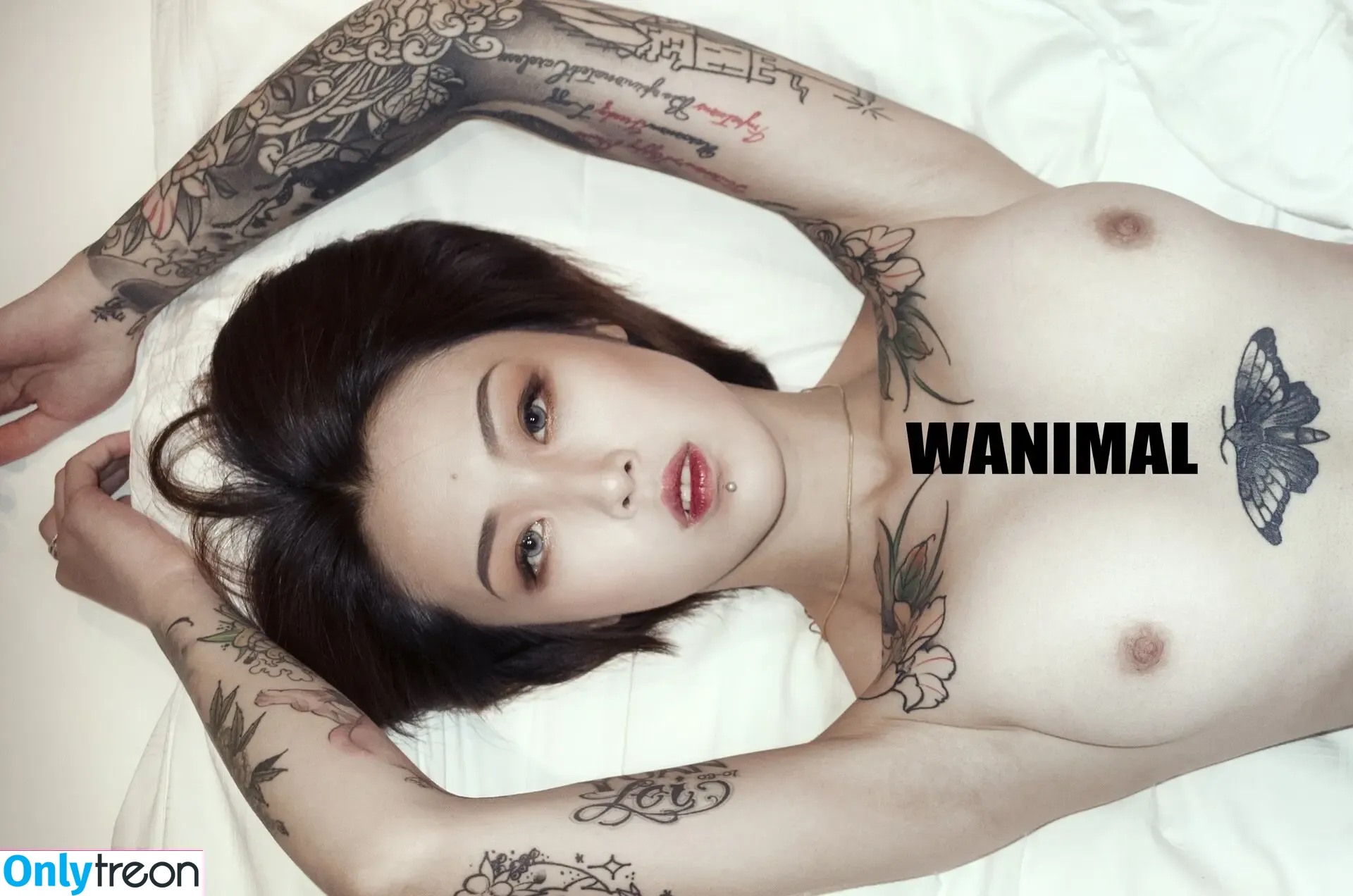 Wanimal Models nude photo #0036 (wanimal912)