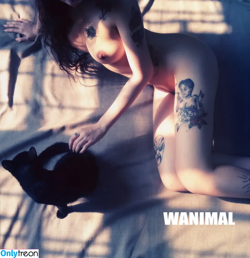 Wanimal Models nude photo #0182 (wanimal912)