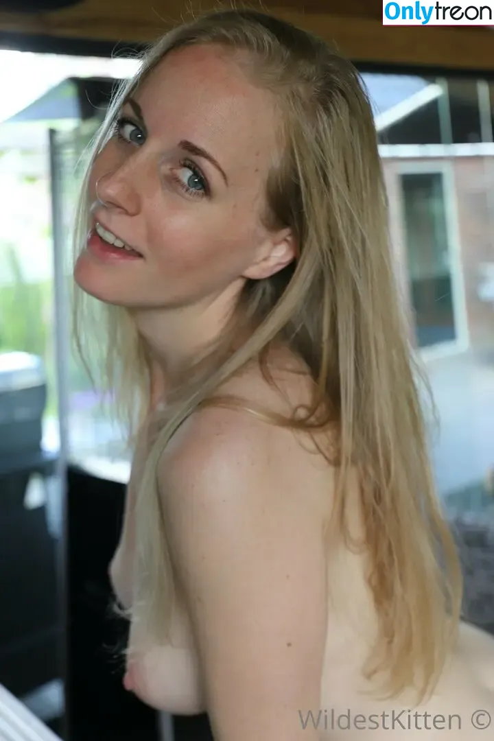WildestKitten nude photo #0086 (WildestKitten)
