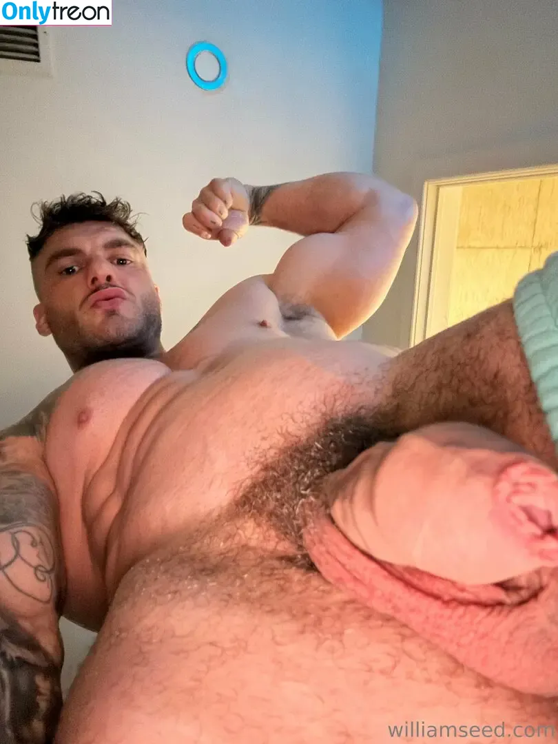 william_seedxxx nude photo #0042 (williamseedreal)