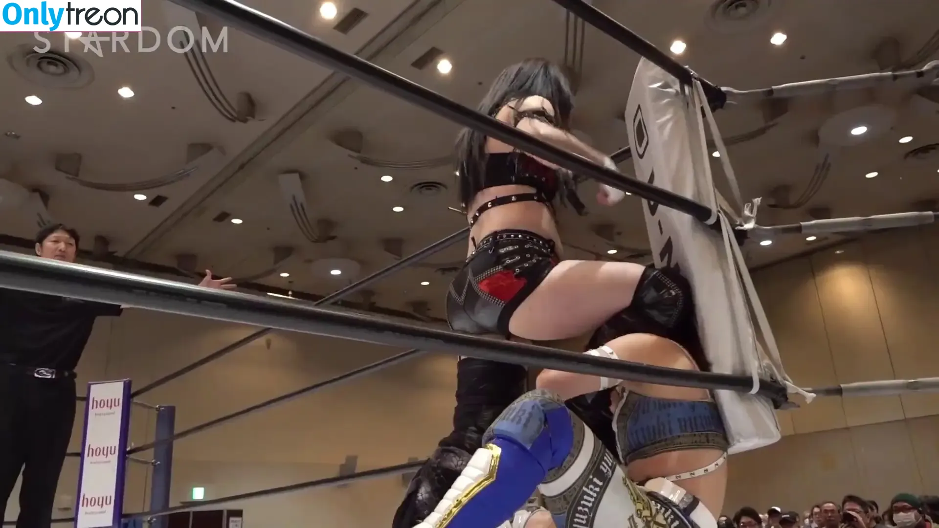 WomenJoshi nude photo #6173 (Puroresu)