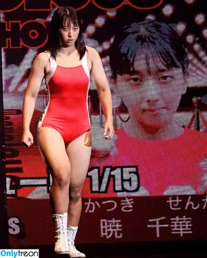 WomenJoshi / Puroresu nude photo #7399