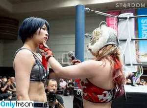 WomenJoshi / Puroresu nude photo #7455