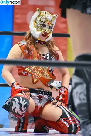 WomenJoshi / Puroresu nude photo #7475