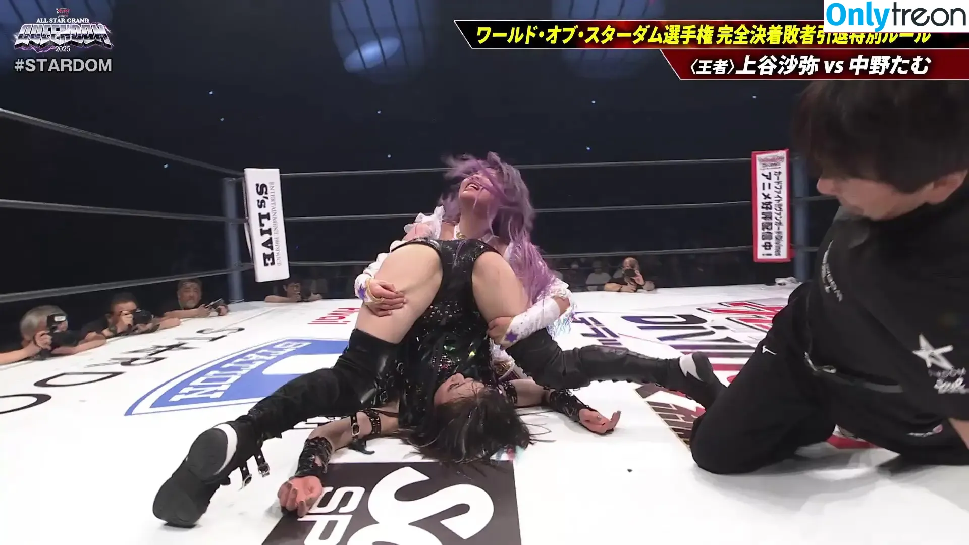WomenJoshi nude photo #7328 (Puroresu)