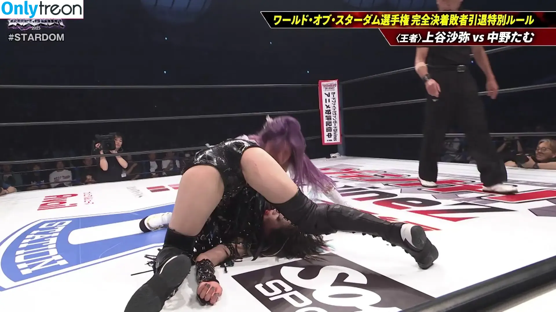 WomenJoshi nude photo #7329 (Puroresu)