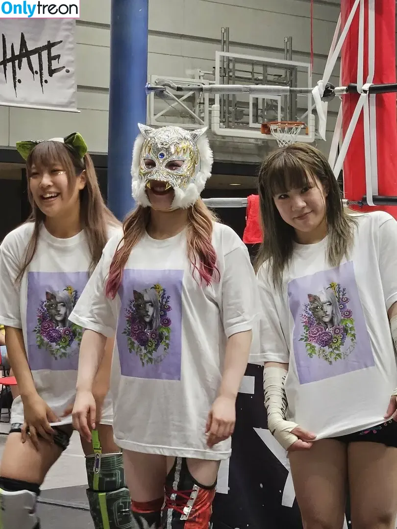 WomenJoshi nude photo #7459 (Puroresu)
