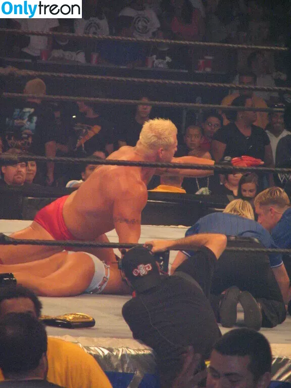 WWE Michelle McCool nude photo #0010 (mimicalacool)