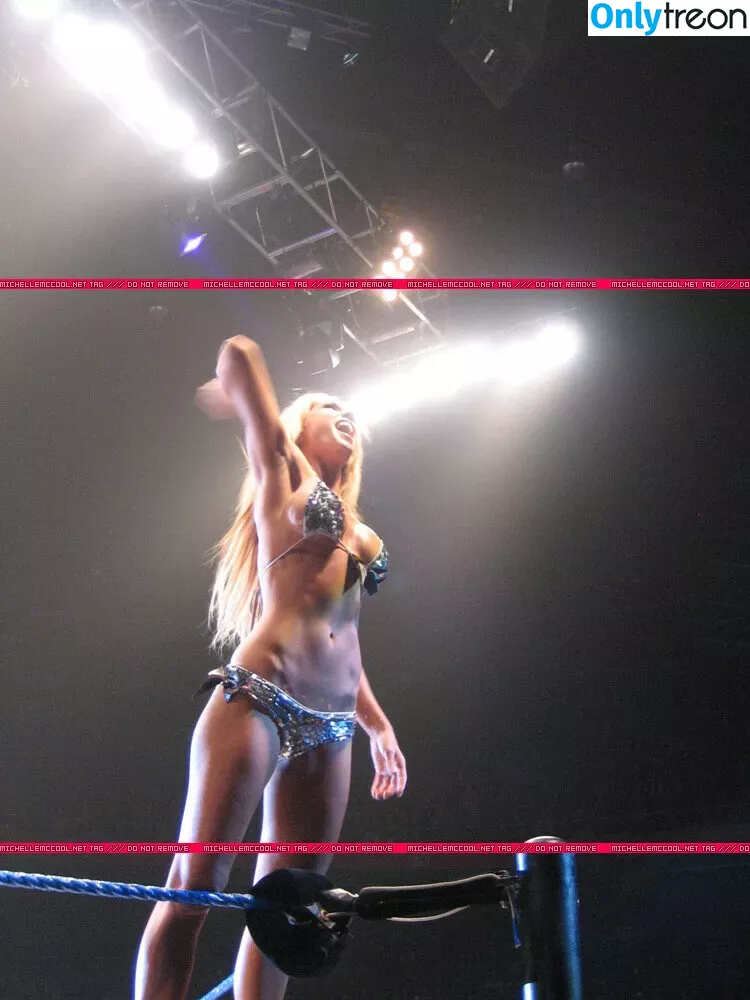 WWE Michelle McCool nude photo #0032 (mimicalacool)
