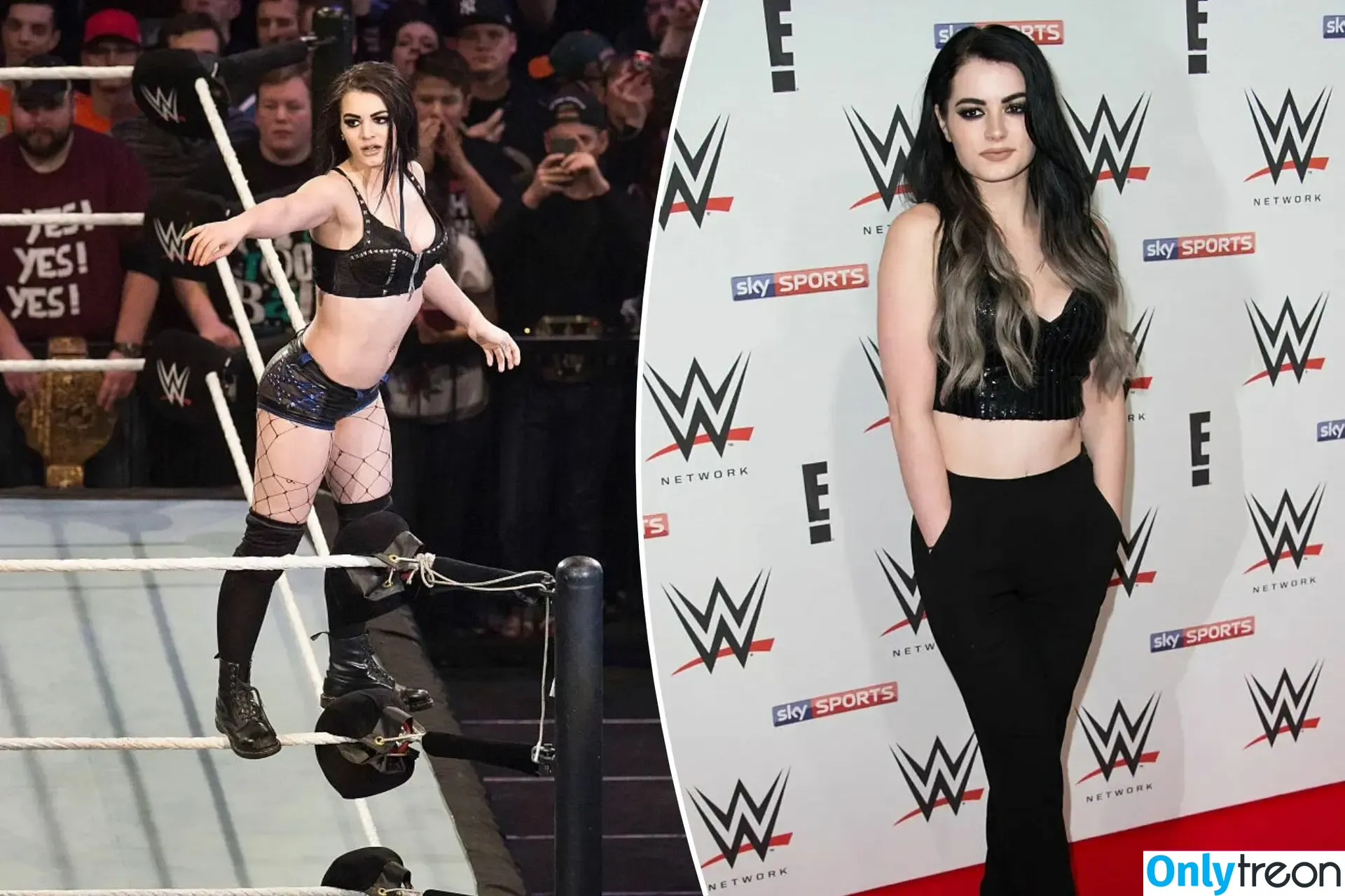 WWE Paige nude photo #0045 (WWE Paige)