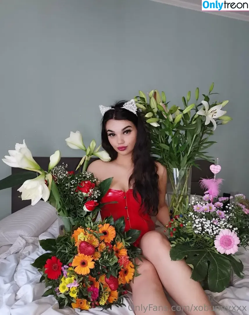 xobunnyxxx nude photo #0002 (xo.bunny)