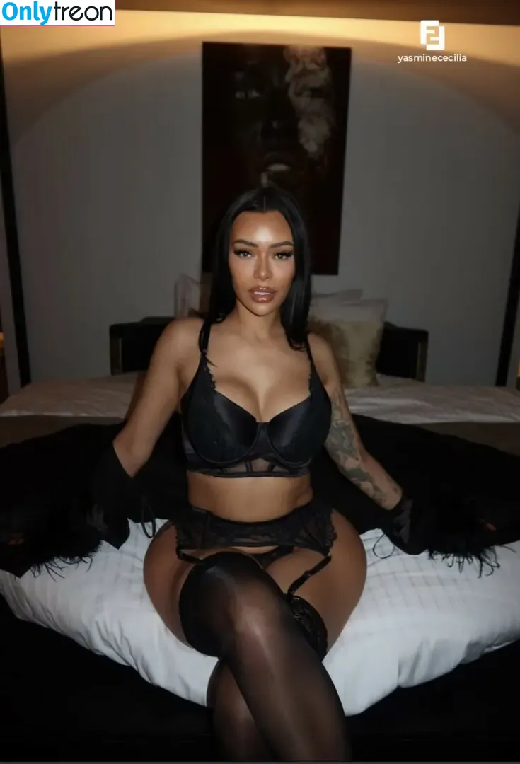 Yasmine Cecilia Pierards nude photo #0034 (Yasmine Cecilia / u441821287 / yasminececiliapierards / yasminepierards)