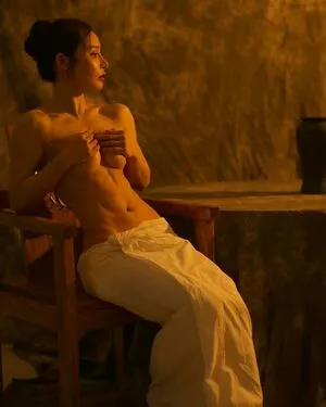 Yuan Herong / yuanherong.1229 nude photo #0079