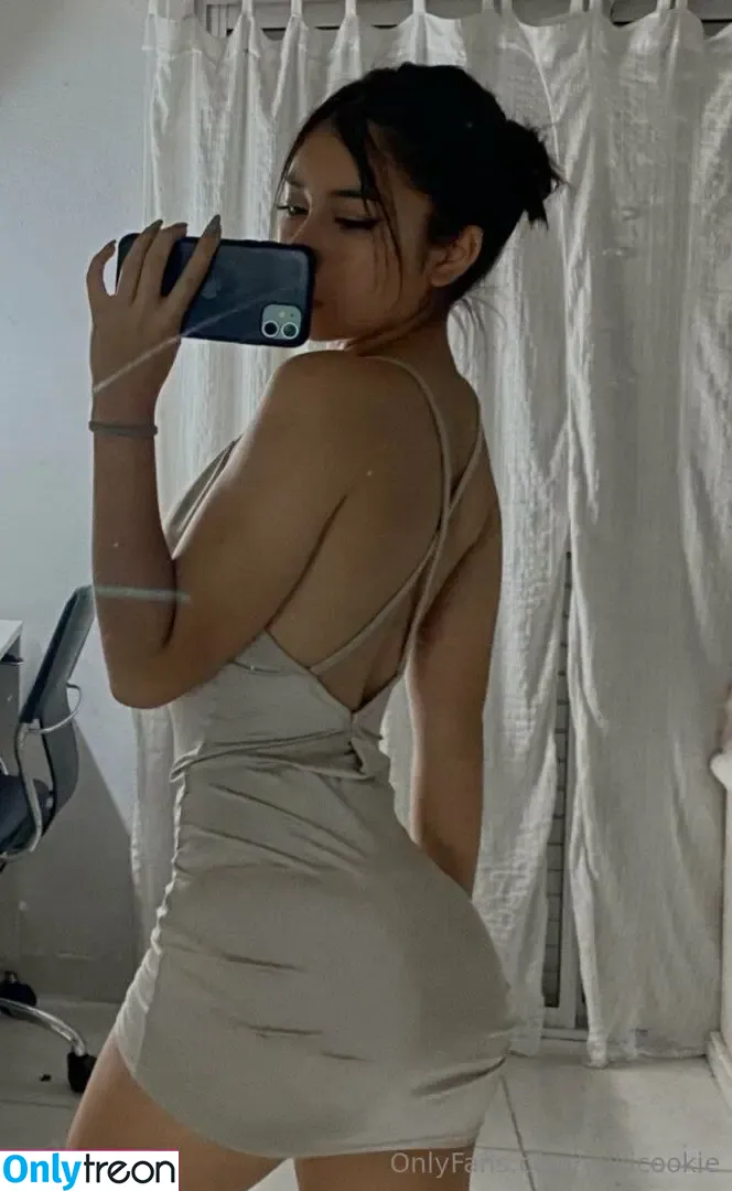 yukicookie nude photo #0034 (yukicookie)