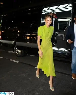 Zendaya nude photo #2173