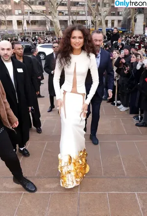 Zendaya nude photo #2801