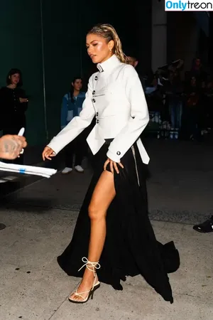 Zendaya nude photo #3384