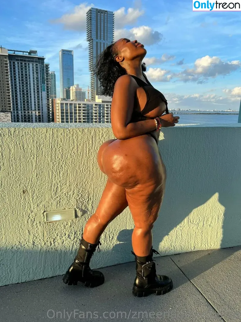 zmeenaorrxclusive nude photo #0001 (zmeenaorr)