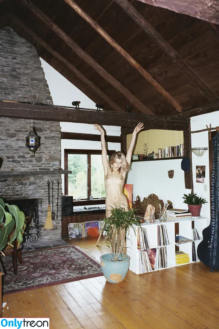 Abbey Lee Kershaw голая photo #0097 (abbeylee)