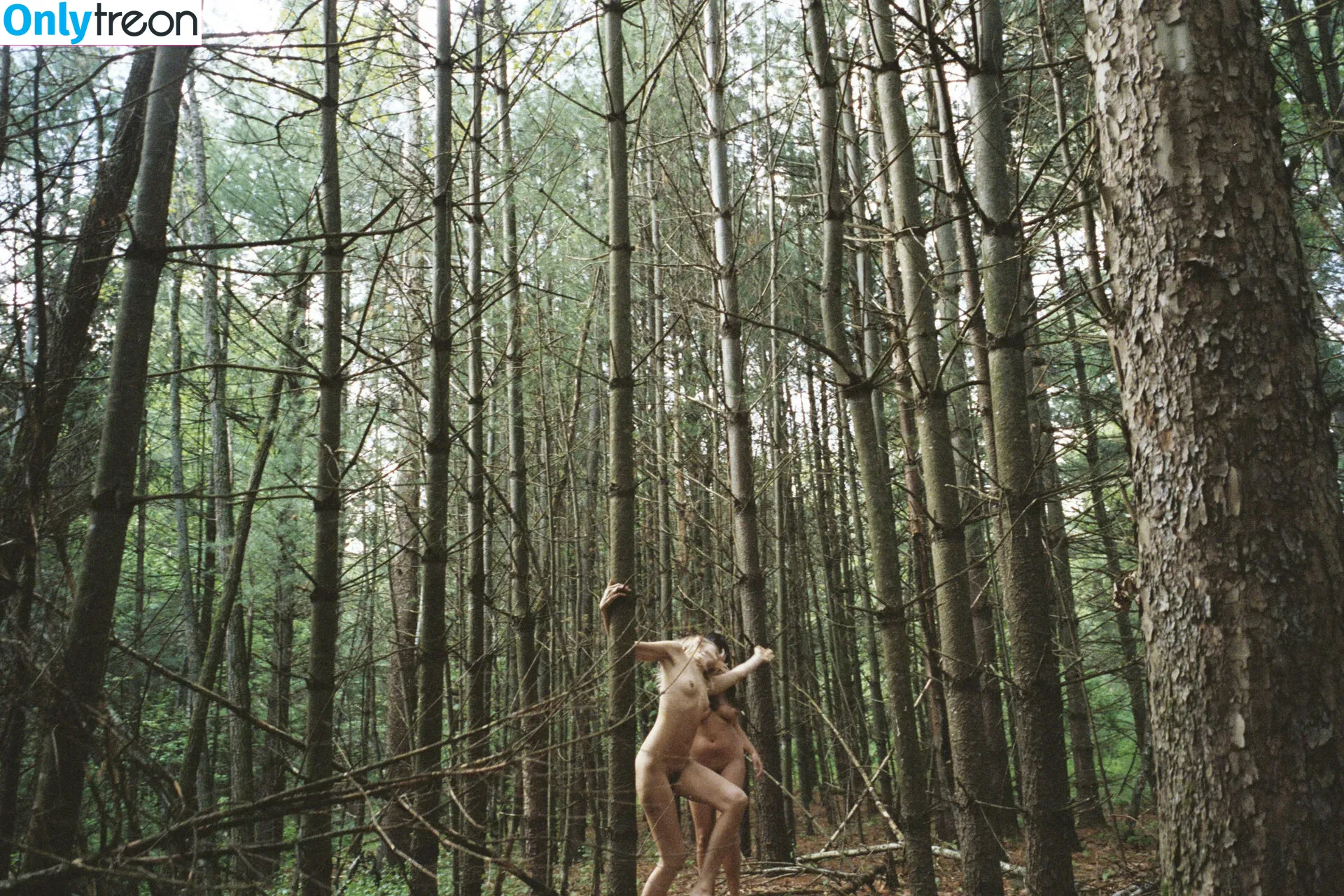 Abbey Lee Kershaw голая photo #0100 (abbeylee)