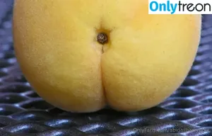 abigailbarrybbw / abigail_barry_1 nude photo #0424