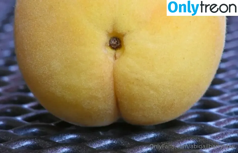 abigailbarrybbw nude photo #0424 (abigail_barry_1)