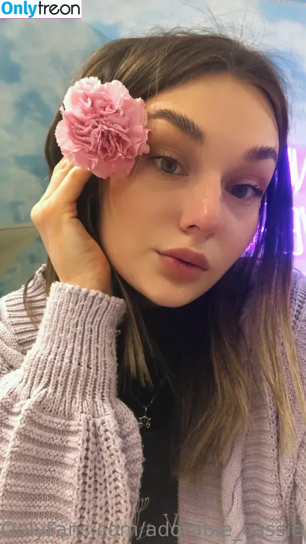 adorable_cassie голая photo #0054 (adorable_cassie)