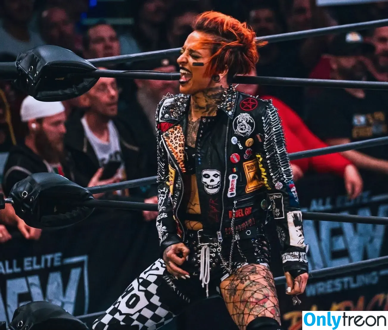 AEW Ruby Soho голая photo #0124 (Ruby Riott / realrubysoho / ruby-soho)