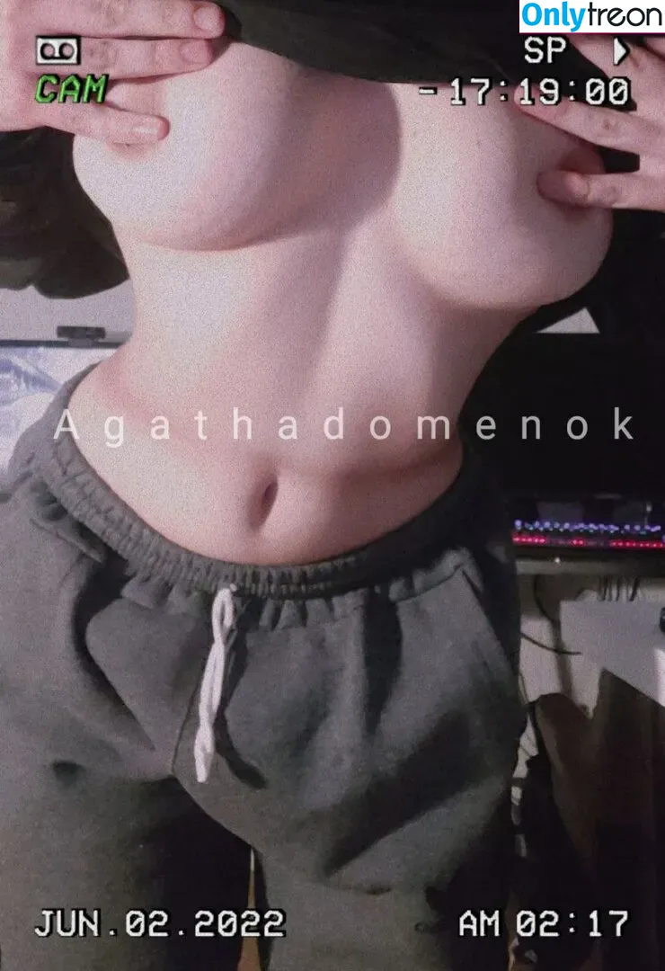 Agathadomenok nude photo #0034 (agathadomen / agathainsta / eroticneko)