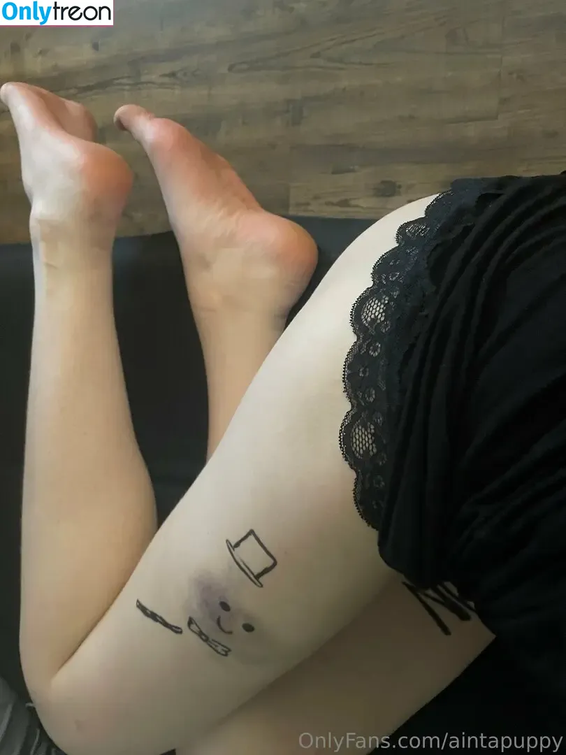 Aintapuppy nude photo #0153 (aintapet / anyuser)