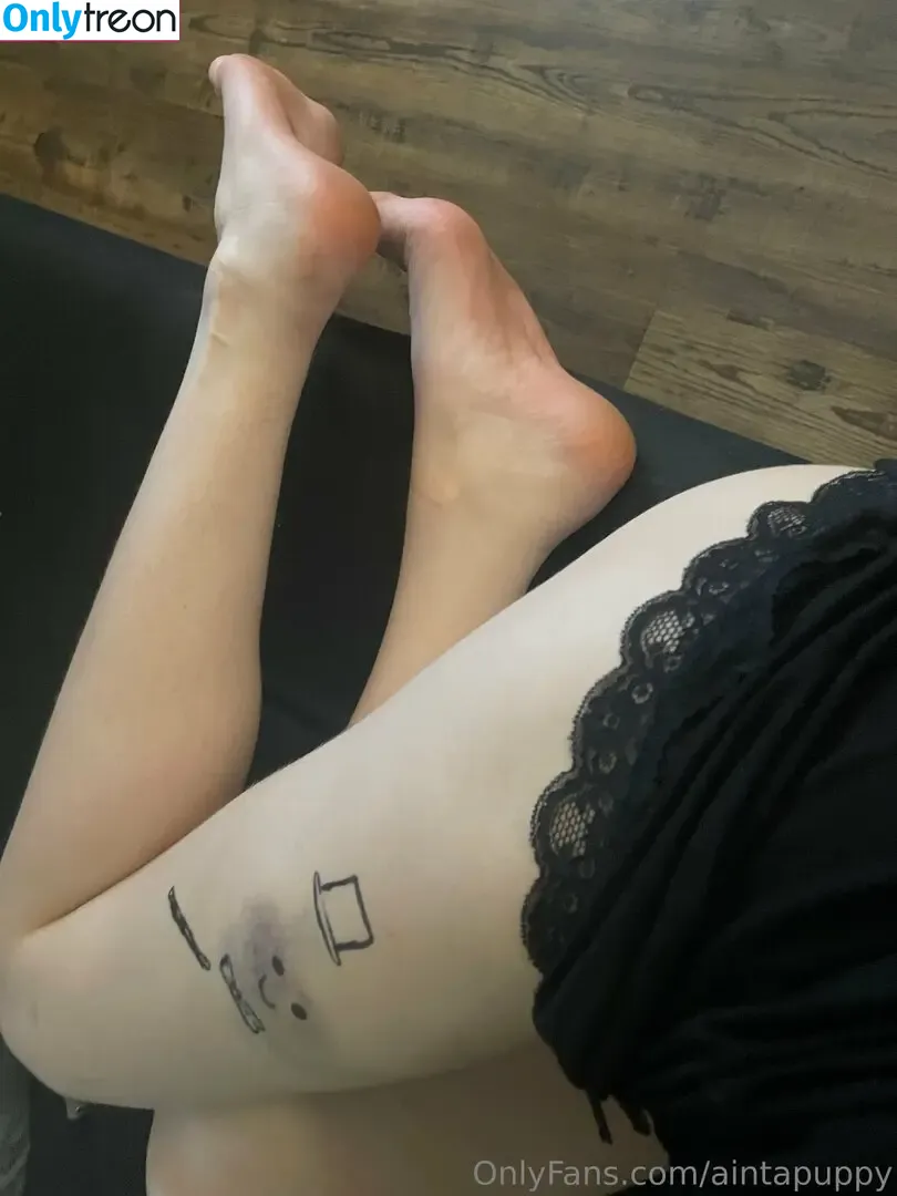 Aintapuppy nude photo #0154 (aintapet / anyuser)