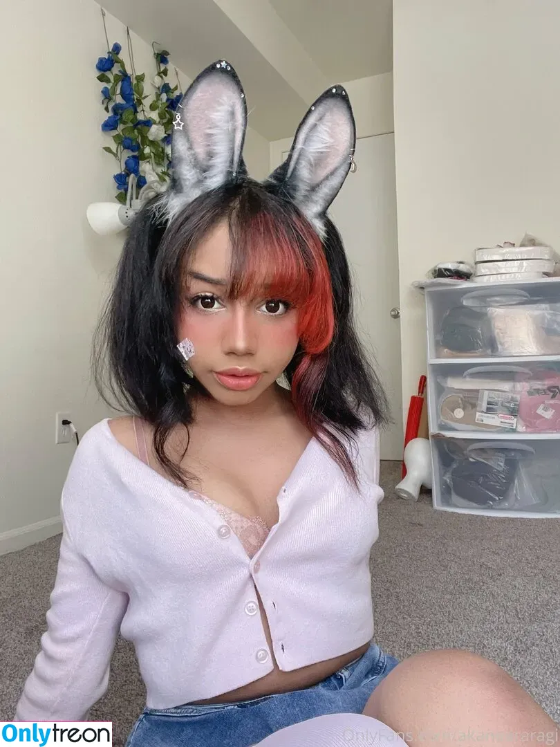 akaneararagi голая photo #0008 (akaneararagi)