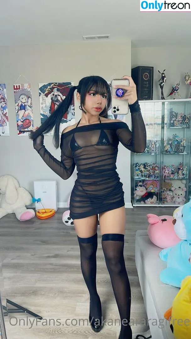 akaneararagifree nude photo #0056 (akaneararagi)