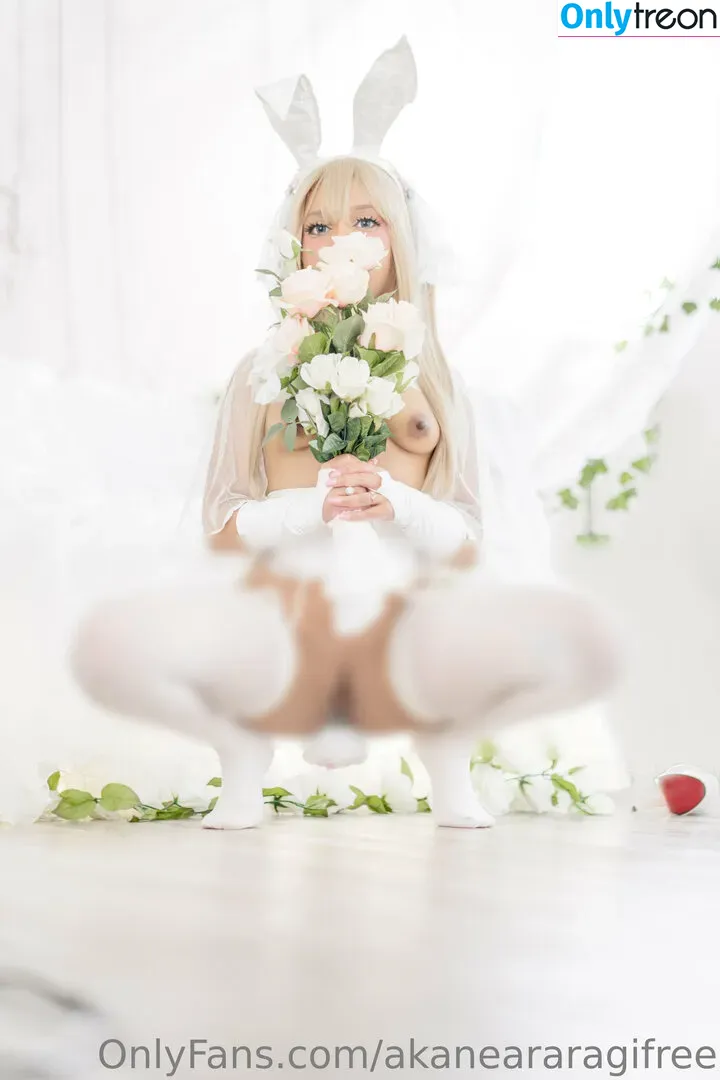 akaneararagifree nude photo #0137 (akaneararagi)